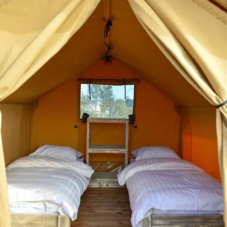 Sahara *