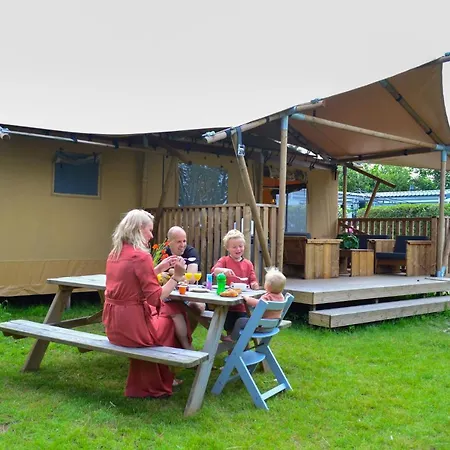 Luxury tent Sahara *