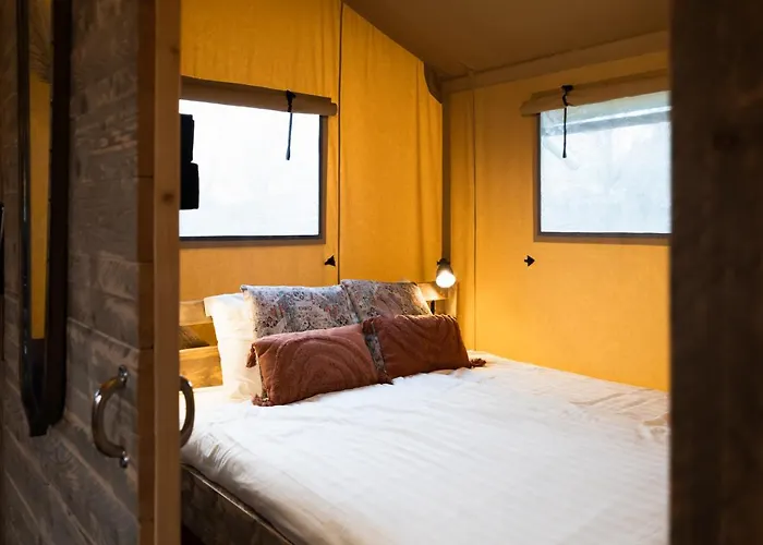 Lüks kamp alanı Sahara *